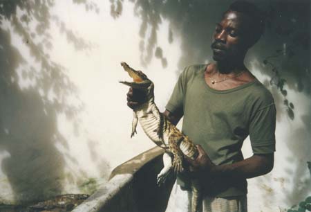 Kenya Mombasa Zoo 1987